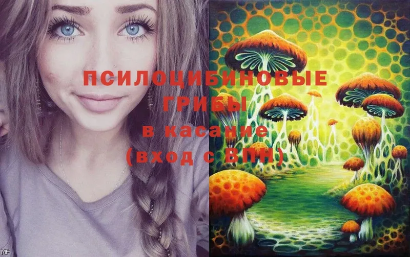 Галлюциногенные грибы Cubensis Лабытнанги